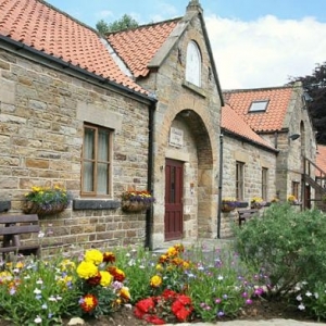 flowers-in-bloom-at-rosedale