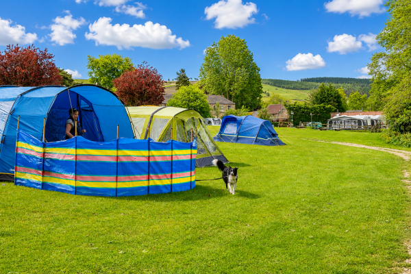 tents2